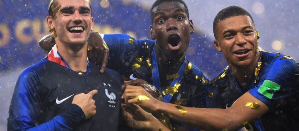 媒体：法国队获胜给中国赞助商造成损失 - 俄罗斯卫星通讯社