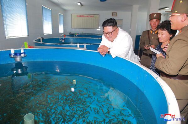 朝鲜领导人金正恩在平壤视察801部队和部队驻地的渔场。 - 俄罗斯卫星通讯社