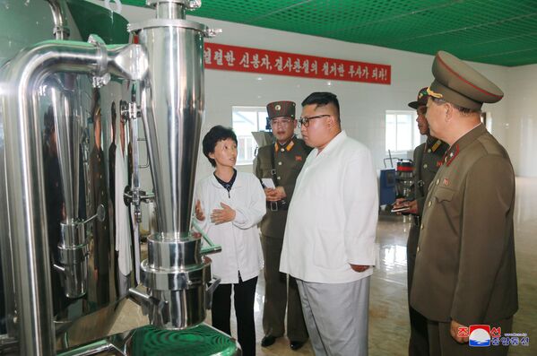 朝鲜领导人金正恩考察平壤的渔业。 - 俄罗斯卫星通讯社