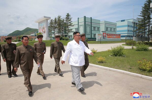 朝鲜领导人金正恩在视察机器制造厂。 - 俄罗斯卫星通讯社