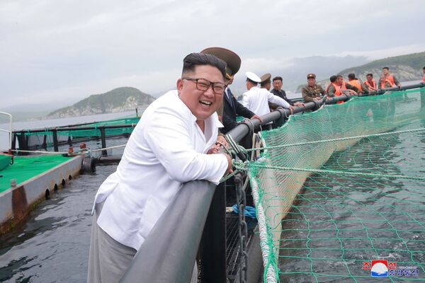 朝鲜领导人金正恩在视察养鱼场。 - 俄罗斯卫星通讯社