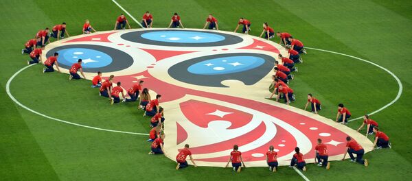 绝佳理由：俄罗斯在世界杯期间与哪国在什么领域达成了协议 - 俄罗斯卫星通讯社