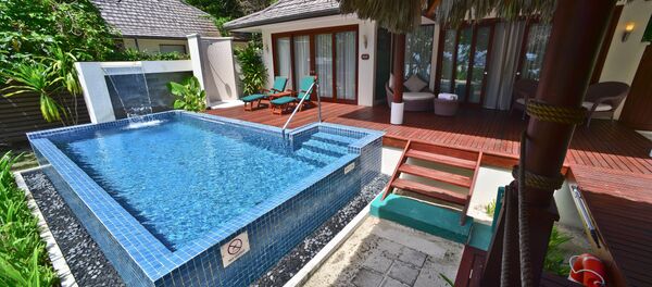 加州的一頭熊爬進了私宅的游泳池避暑 - 俄羅斯衛星通訊社