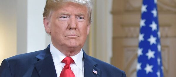 Президент США Дональд Трамп во время встречи с президентом РФ Владимиром Путиным в президентском дворце в Хельсинки - 俄罗斯卫星通讯社