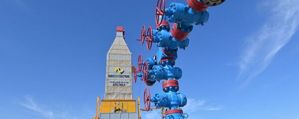 中国能源局：中国首船亚马尔液化天然气交付中国石油 - 俄罗斯卫星通讯社