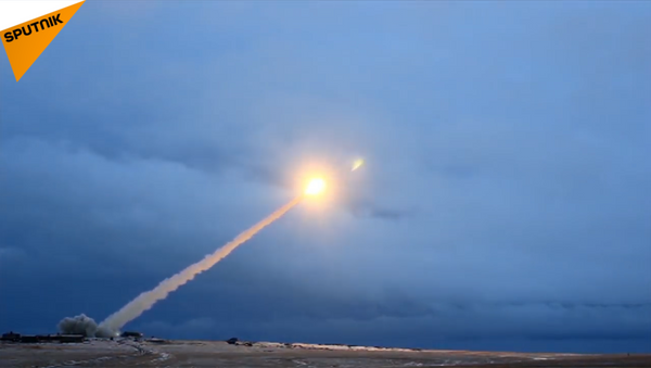 俄“海燕”核動力巡航導彈 - 俄羅斯衛星通訊社