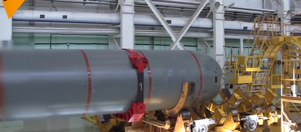 “波塞冬”海上多功能系统 - 俄罗斯卫星通讯社