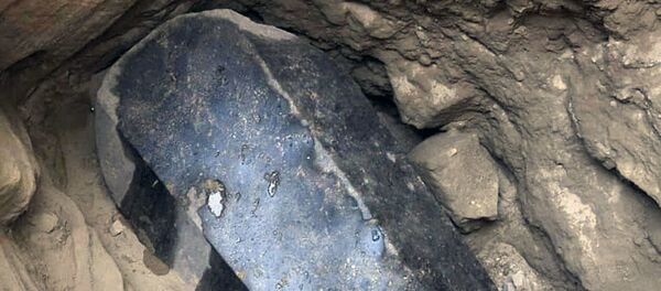 埃及科学家确定7月份发现的黑石棺所葬之人 - 俄罗斯卫星通讯社