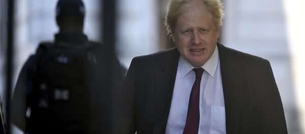 英国前外交大臣鲍里斯·约翰逊 英国前外交大臣鲍里斯·约翰逊 - 俄罗斯卫星通讯社