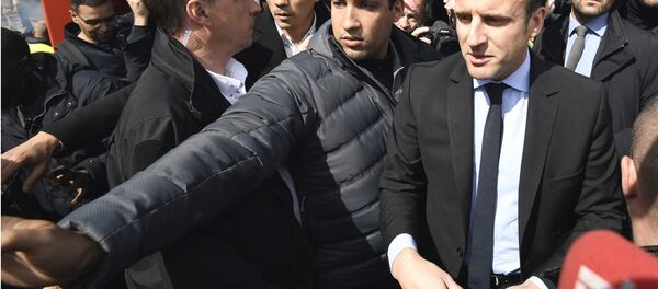 法国总统顾问因殴打一名抗议者被拘役 - 俄罗斯卫星通讯社