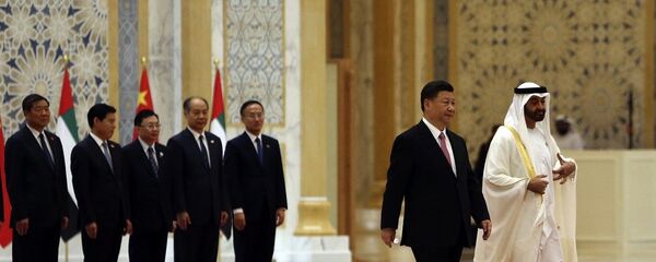 中国阿联酋准备建立军队合作机制并发展原子能合作 - 俄罗斯卫星通讯社