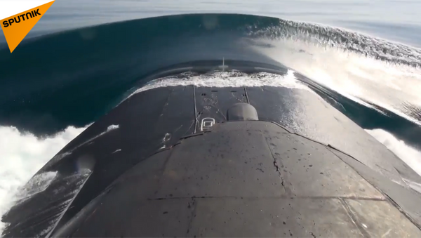 俄太平洋舰队在鄂霍次克海发射巡航导弹 - 俄罗斯卫星通讯社
