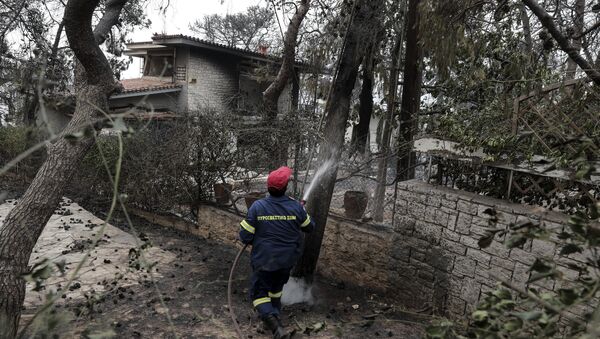 媒体：希腊发生森林火灾已造成近50人死亡 - 俄罗斯卫星通讯社