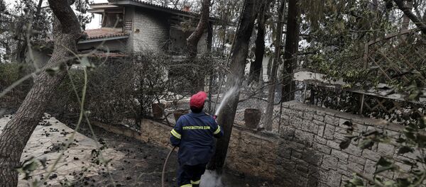 媒体：希腊发生森林火灾已造成近50人死亡 - 俄罗斯卫星通讯社