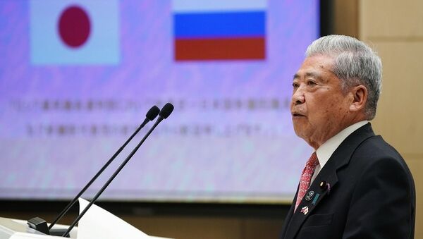 日本参议院议长：东京希望就朝鲜核裁军问题与俄罗斯展开更加紧密的合作 - 俄罗斯卫星通讯社