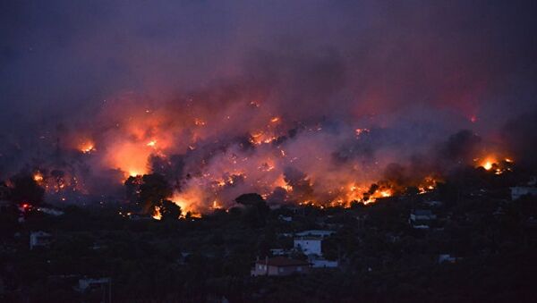 希腊消防部门正式确定火灾导致49人死亡 - 俄罗斯卫星通讯社