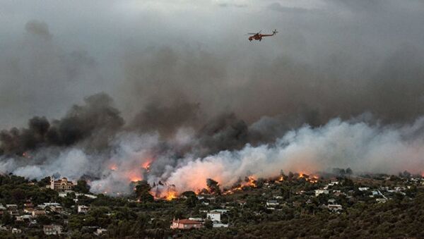 希腊森林火灾遇难人数增至74人 - 俄罗斯卫星通讯社