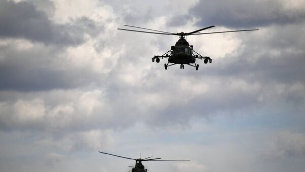 一架单发飞机在新西伯利亚州失踪  米-8直升机正在搜寻 - 俄罗斯卫星通讯社