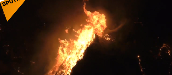 希腊大火：从雅典向科林斯蔓延 - 俄罗斯卫星通讯社