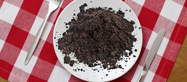 科学家解释动物为什么吃土 科学家解释动物为什么吃土 - 俄罗斯卫星通讯社