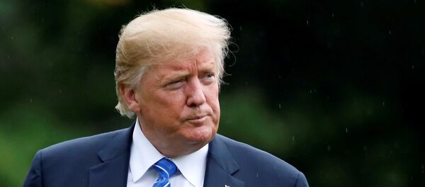 U.S. President Donald Trump - 俄罗斯卫星通讯社