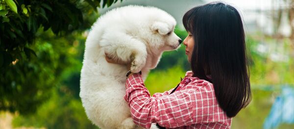 科学家们发现狗对其主人表情的反应 科学家们发现狗对其主人表情的反应 - 俄罗斯卫星通讯社