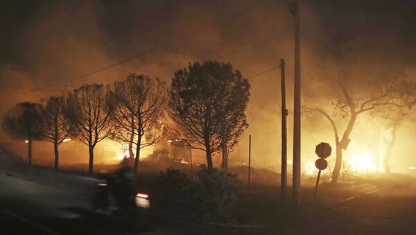 雅典郊区发生重大森林火灾 警方正在疏散居民 - 俄罗斯卫星通讯社