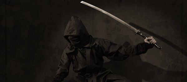 忍者 - 俄羅斯衛星通訊社