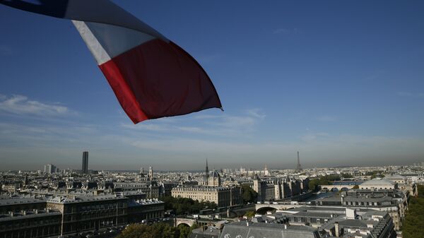 法國將於11月9日在巴黎舉行加沙問題人道主義會議 - 俄羅斯衛星通訊社