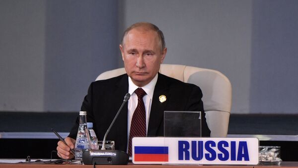 俄方在研究有非洲国家领导人出席的俄非峰会的想法 - 俄罗斯卫星通讯社