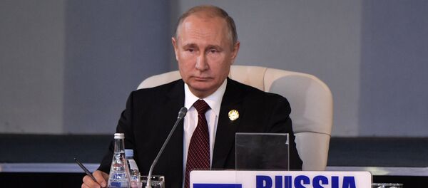 俄方在研究有非洲国家领导人出席的俄非峰会的想法 俄方在研究有非洲国家领导人出席的俄非峰会的想法 - 俄罗斯卫星通讯社