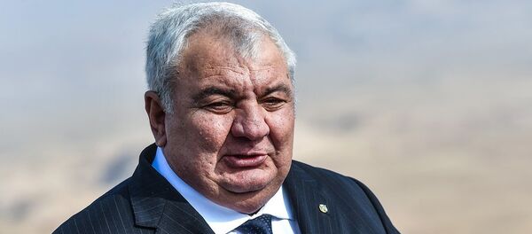 亚美尼亚指控集安组织秘书长 - 俄罗斯卫星通讯社