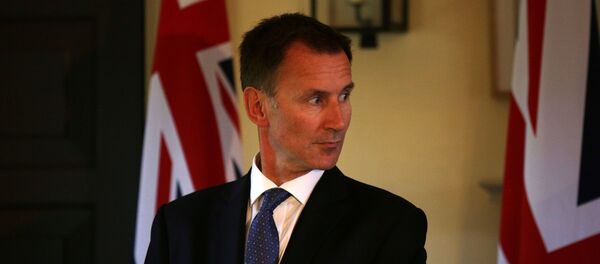 外交大臣杰里米·亨特 - 俄罗斯卫星通讯社