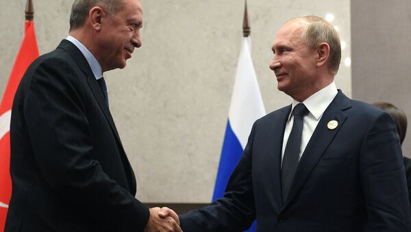 7月26日，俄罗斯总统普京和土耳其同行埃尔多安 - 俄罗斯卫星通讯社