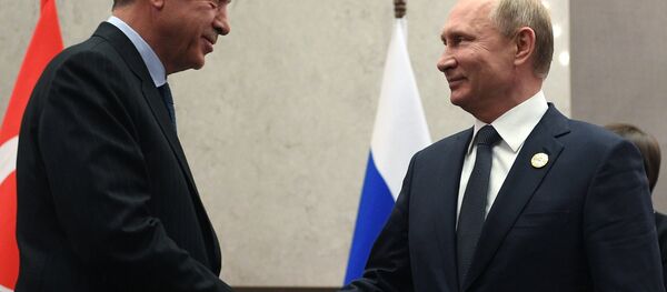 俄土总统17日将会面讨论双边合作问题 - 俄罗斯卫星通讯社