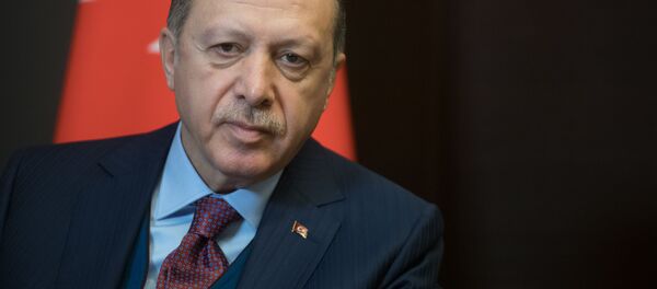 埃爾多安：美國對土耳其“背後捅了一刀” - 俄羅斯衛星通訊社