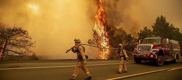 美國加州森林火災 - 俄羅斯衛星通訊社