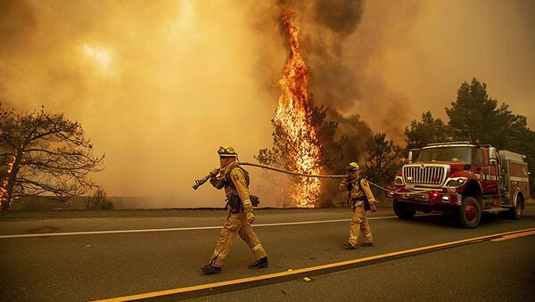 Пожарные тушат лесной пожар в Калифорнии. - 俄羅斯衛星通訊社