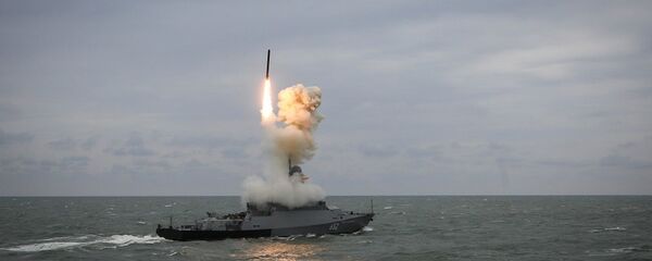 俄防长：口径巡航导弹在叙利亚试射后接受升级改造 - 俄罗斯卫星通讯社