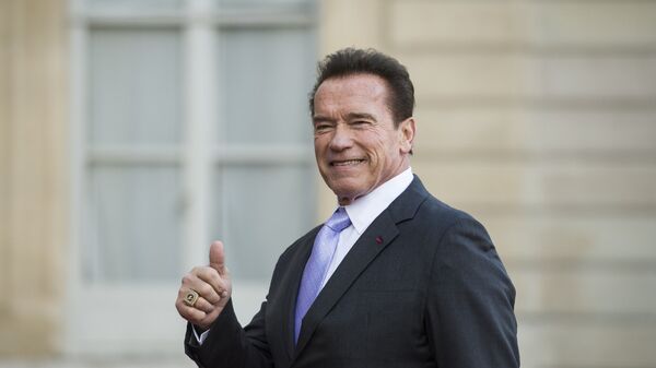 Former Governor of the US State of California, US actor Arnold Schwarzenegger - 俄羅斯衛星通訊社