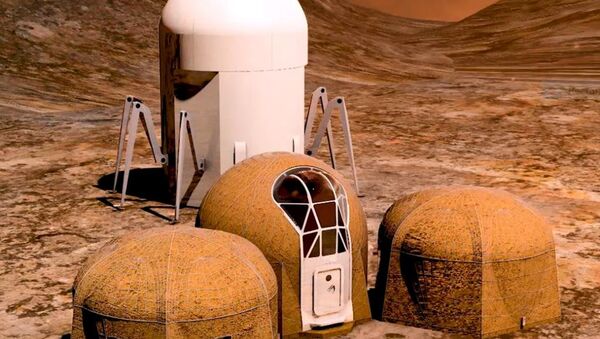 NASA火星栖息地设计大赛决赛作品发布 - 俄罗斯卫星通讯社