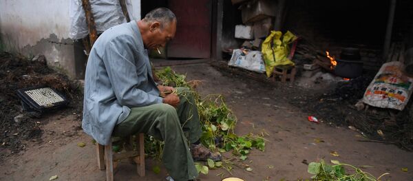 A man preparing beans outside his house at a village - 俄羅斯衛星通訊社