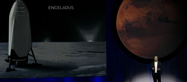 伊隆·馬斯克 - 俄羅斯衛星通訊社