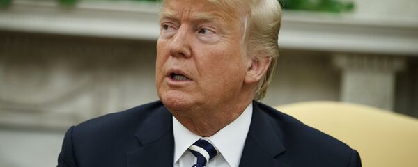 特朗普稱與墨西哥的貿易談判進展良好 - 俄羅斯衛星通訊社