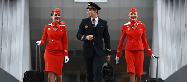 莫斯科机场被称作世界上最准时的机场 - 俄罗斯卫星通讯社