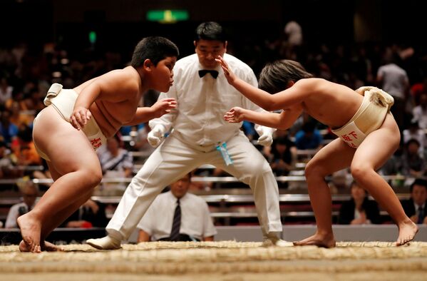 日本小學生相撲比賽 - 俄羅斯衛星通訊社