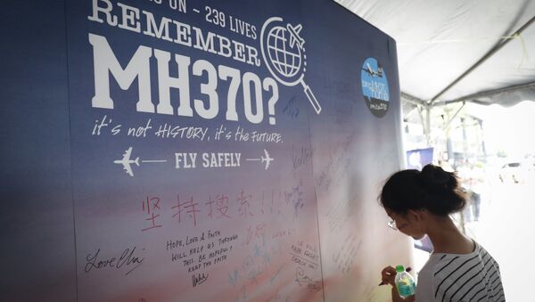 马来西亚民航局总监在MH370失联报告公布后辞职 - 俄罗斯卫星通讯社