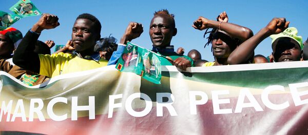 津巴布韦反对派候选人称已赢得总统大选 - 俄罗斯卫星通讯社