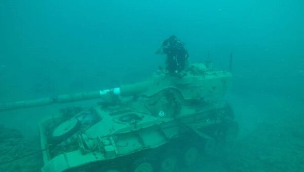 黎巴嫩建造一座水下军事设备公园：坦克上将长出珊瑚 - 俄罗斯卫星通讯社