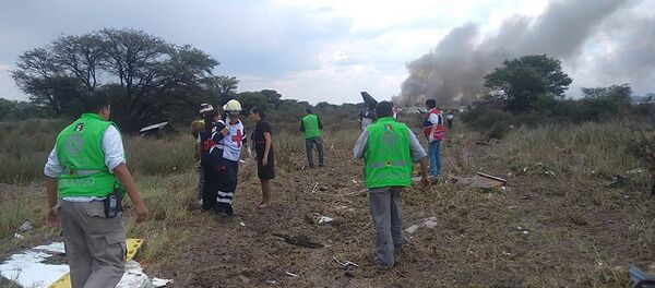 墨西哥一架载有103人的飞机失事 - 俄罗斯卫星通讯社